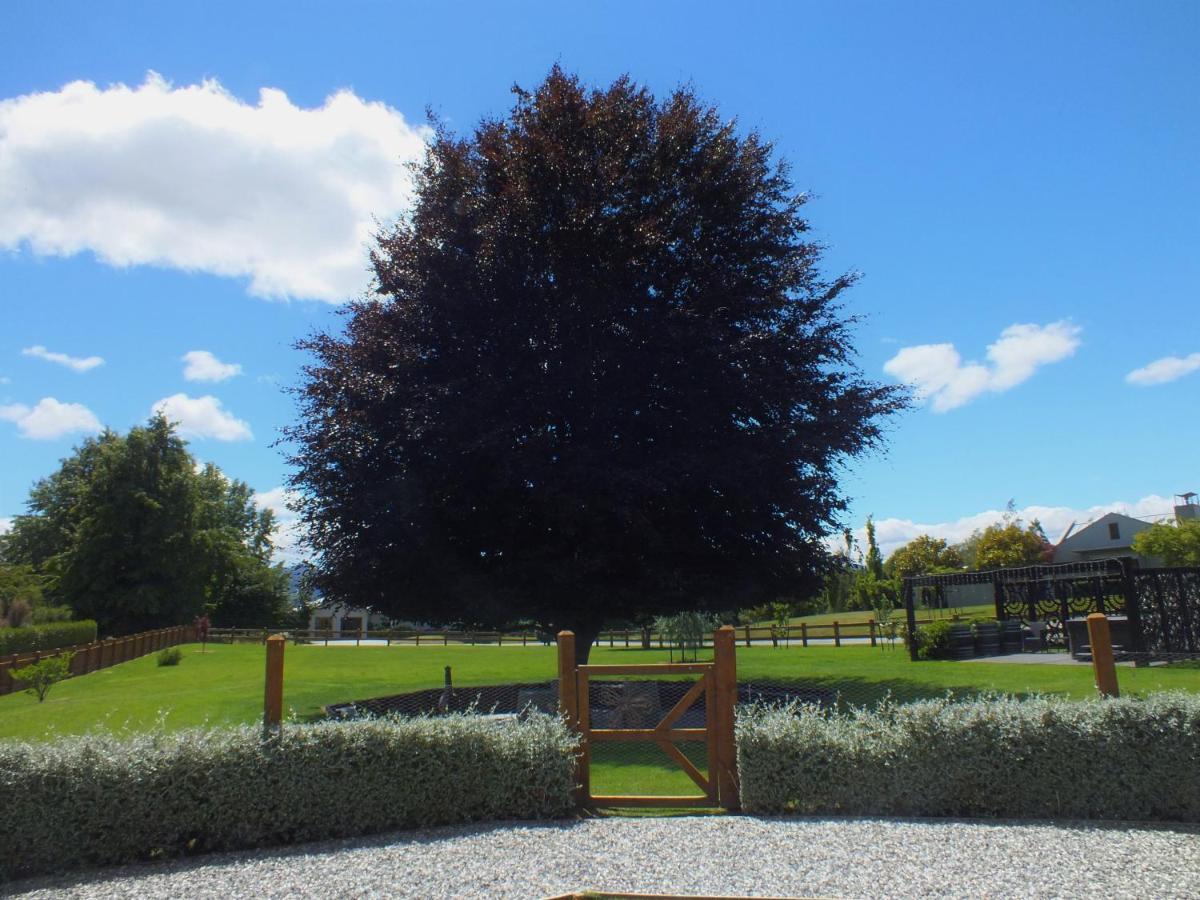 Copper Beech Wanaka - Luxury Accommodation المظهر الخارجي الصورة